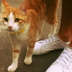 Борис Ёлкин, 20.04, Донецк