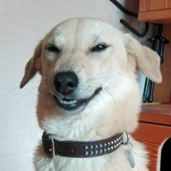 Санёк Симаков, Санкт-Петербург