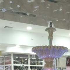 Maral Zhusipbaev, Тараз