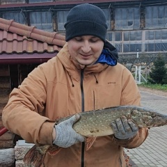 Николай Воронин, Москва