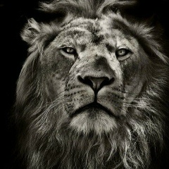 Даурен Джумагельдиев, 28.09.1991, Уральск