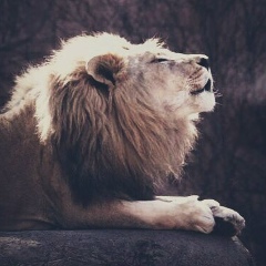 Магомед Гагиев, 14.09, Москва