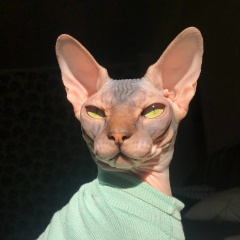 Зина Зина, 26.02, Новороссийск