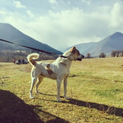 Расул Эркенов, 17.10