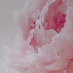 Ксения Брынза, 11.06, Одесса