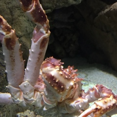 Юлия Попова, Санкт-Петербург