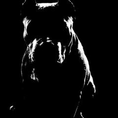 Денис Денисов, Луганск (село)