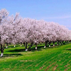 Сергей Мардонов, 07.03.1993, Калининград