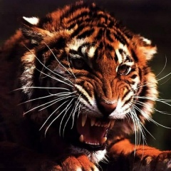 Анна Соболева, 03.04, Санкт-Петербург