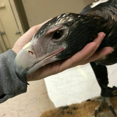 Руслан Дошекеев, 30.03.1999