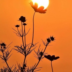 Виталий Волощакевич, 31.10.1989, Николаев