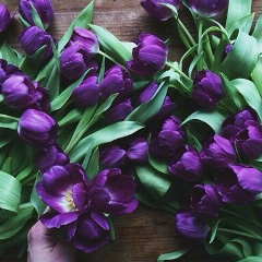 Анастасия Алиева, 19.04.1995, Самара