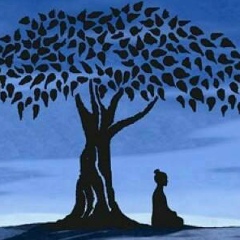 Алиса Котляр