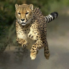 Александр Бойко, 20.03.1987, Москва