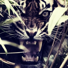 Евгений Алексеевич, 30.07, Рязань