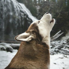 Соня Кузьминых, 04.11, Раменское