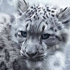 Алексей Чайковский, 02.02, Владимир