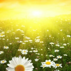 Анюта Власик, 27.03