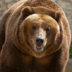 Эльвира Еева, 10.04