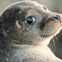 Юрий Рудин, 17.01.1986, Калининград