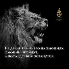 Vusal Behbudov, 13.08, Пермь