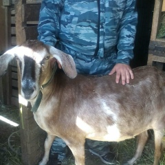 Ирина Сухова, 02.05, Павловский Посад
