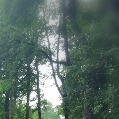 Александр Евтихов, 06.07.1985, Дятьково