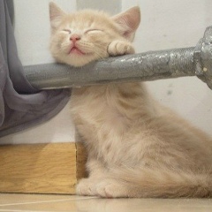 Ирина Сулимова, 18.05.1985, Москва