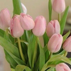 Мира Худайбергенова, 24.06.1987, Тараз