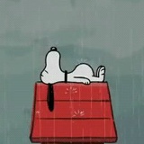 Олег Стрелецкий, 15.03.1986, Москва