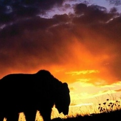 Михаил П, 27.02, Тольятти