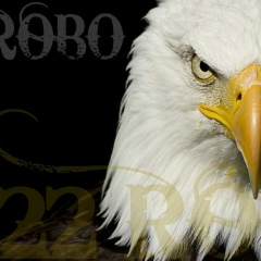 Dj22robo Bassss, 08.06.1993, Тбилиси