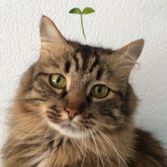 Таня Косовская, 19.02