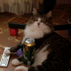 Наталия Баева, 23.12, Уфа