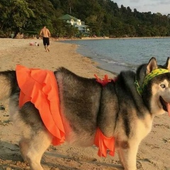 Анар Хамзина, 17.03.1995, Костанай