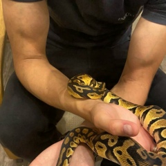 Максим Сергеев, 23.05.1990