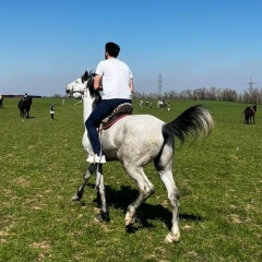 Amirzhan Orazbekov, 27.06.1993, Алматы