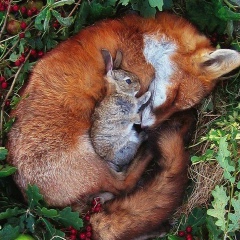 Кристина Симонова, 08.07.1988