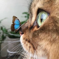 Наталья Звонцова, 20.08