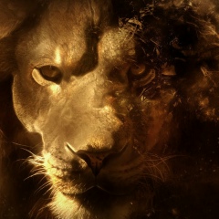 A-R-M Kirovakanski, 17.08, Владивосток