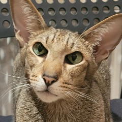 Юлия Коваленко, 13.09