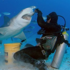 Степан Долгий, 14.01, Москва