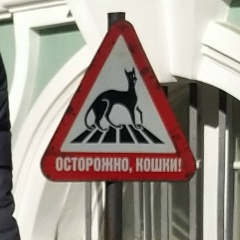 Александр Денисов, 25.08.1982, Санкт-Петербург