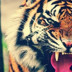 Гарик Григорян, 25.11, Москва