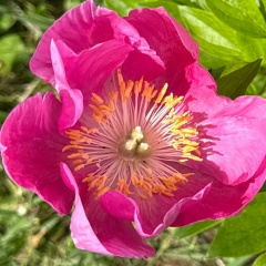 Мария Кузьмина, 13.04.1986, Москва