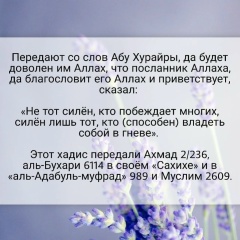 Лика Гучаева, Чегем