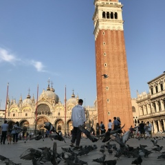 Артем Басаргин, Санкт-Петербург