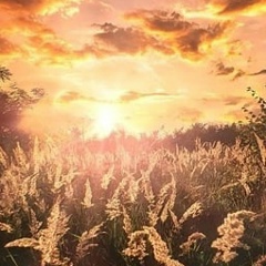 Мария Суренкова, 10.06.1979, Санкт-Петербург