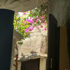 Арсений Ходин, 30.05, Минск