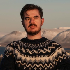 Андрей Меньшенин, Reykjavík